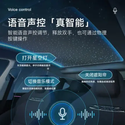 T9特斯拉星空頂遮陽簾全景天窗遮陽頂簾摺疊防曬隔熱改裝電動天窗